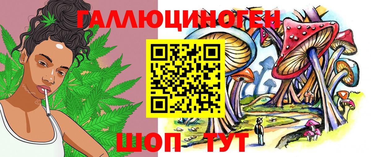 Галлюциногенные грибы Psilocybine cubensis  Галлюциногенные грибы мухоморы  Вход с VPN  Котлас 